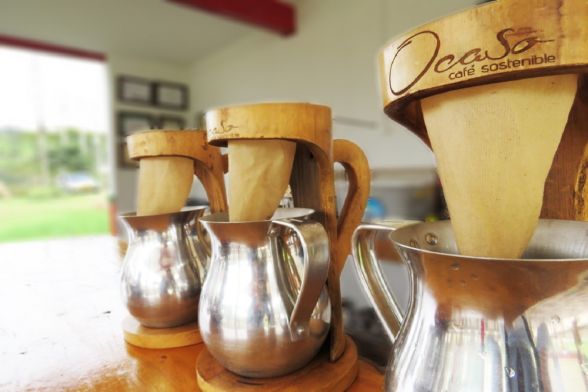 Coffee tour, Finca el Ocaso - Salento 7